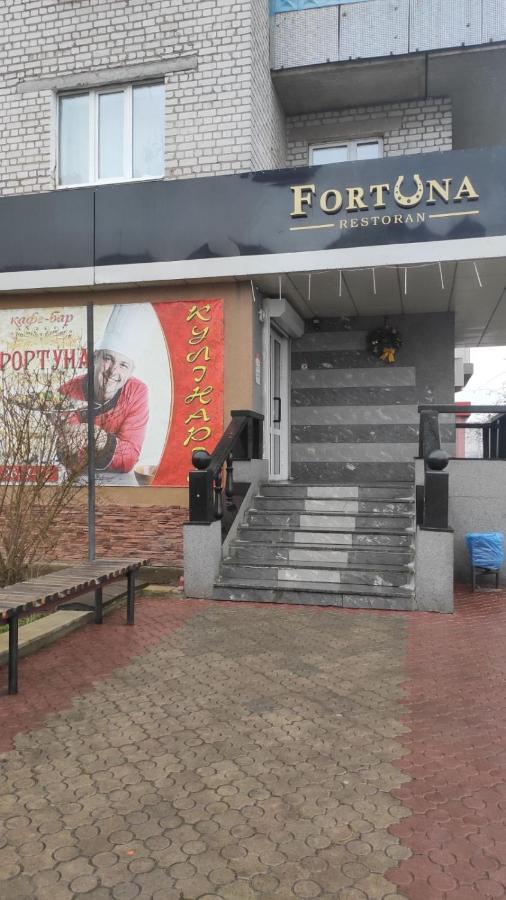 2-Х Комнатная Квартира Korosten Eksteriør billede